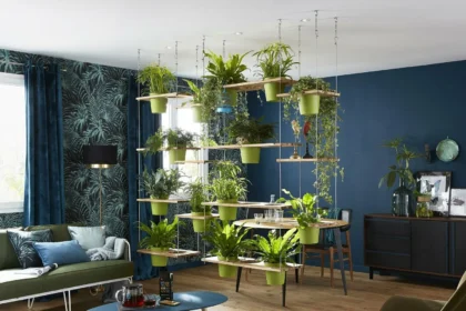 Decoration of Living Room with Plants